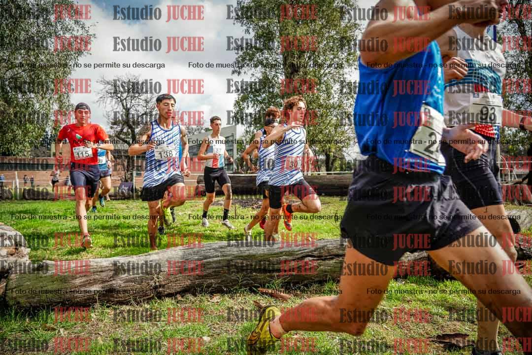 Fotos en el circuito