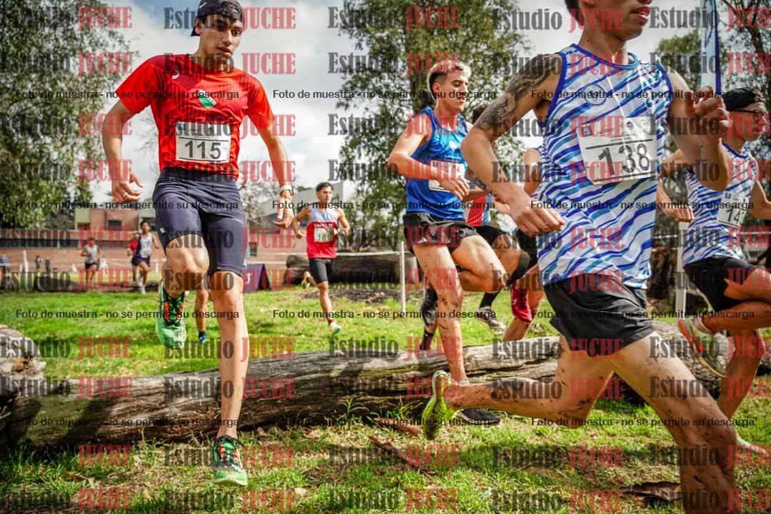 Fotos en el circuito