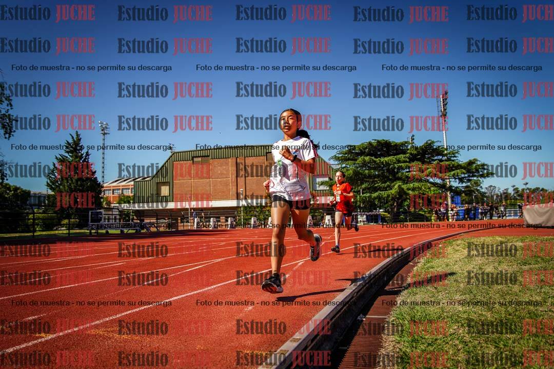 Fotos de los 1200 m llanos de mujeres