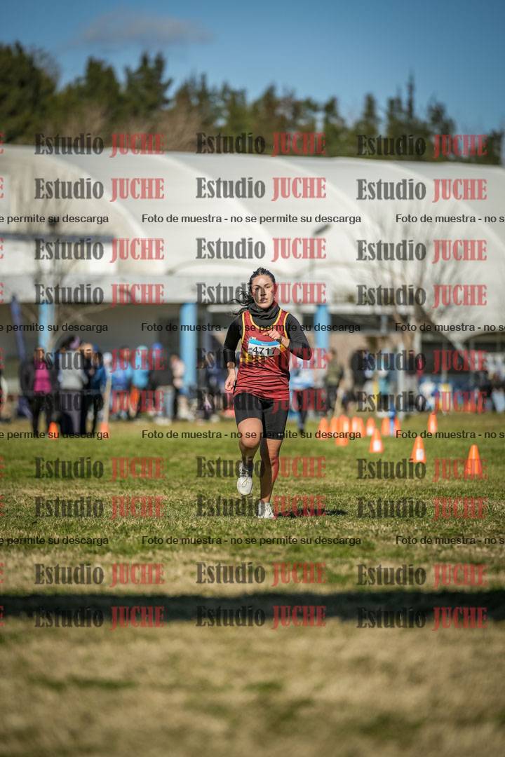 Fotos de las llegadas