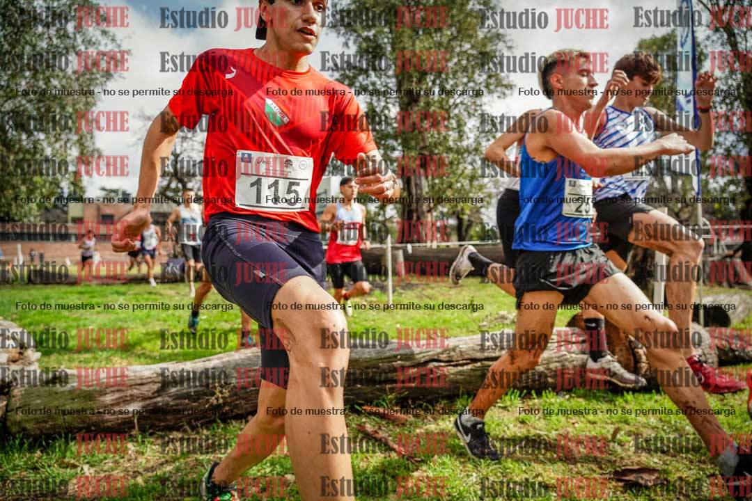 Fotos en el circuito