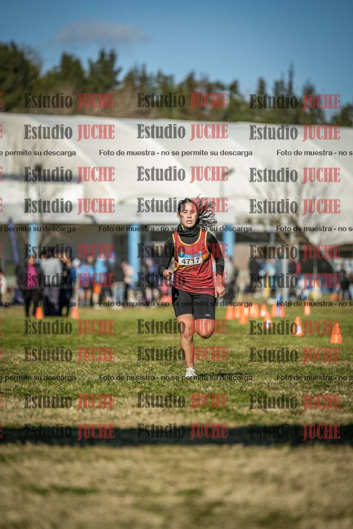 Fotos de las llegadas