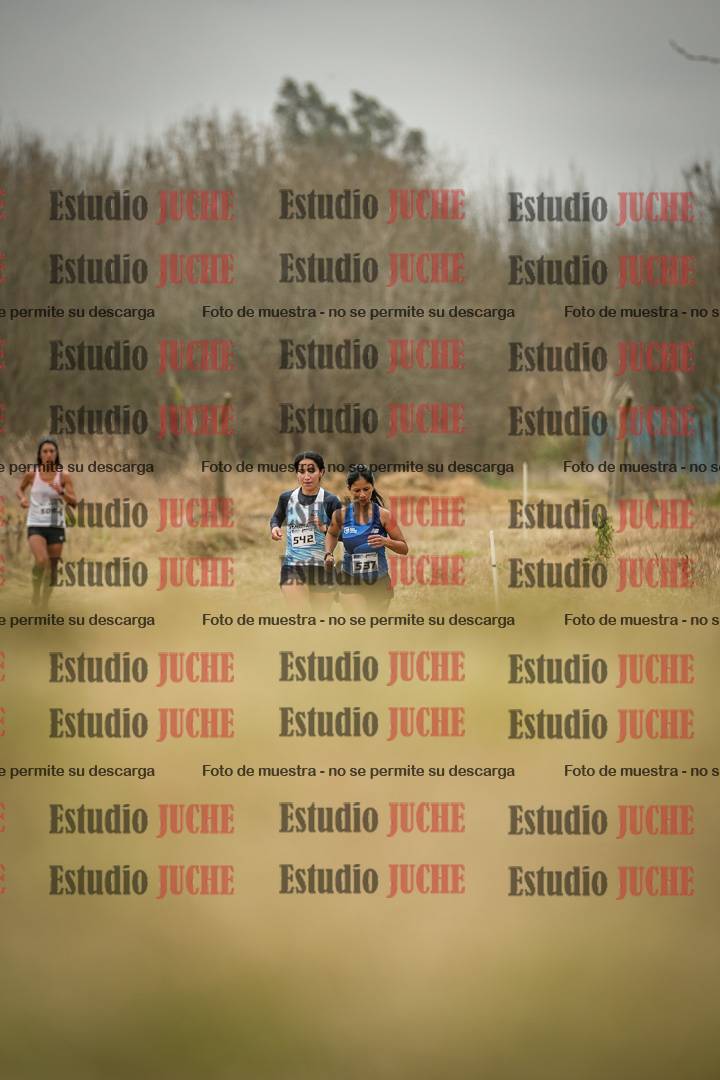 Fotos en el circuito