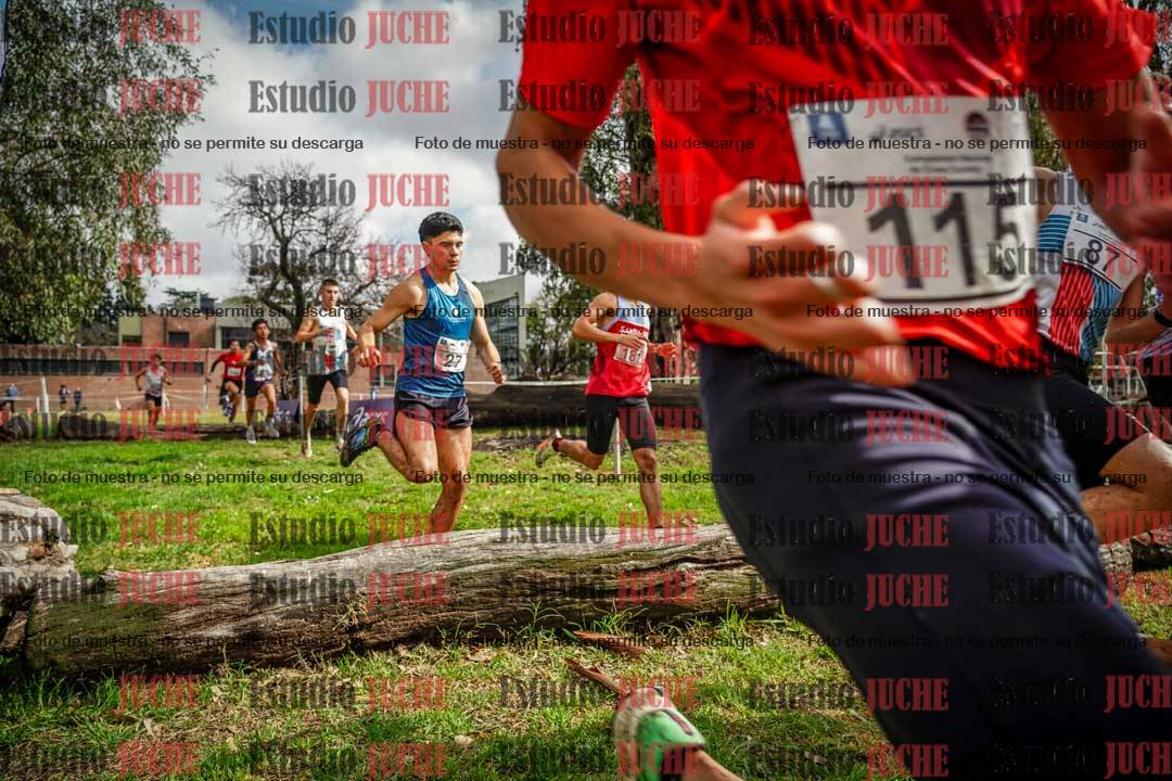 Fotos en el circuito