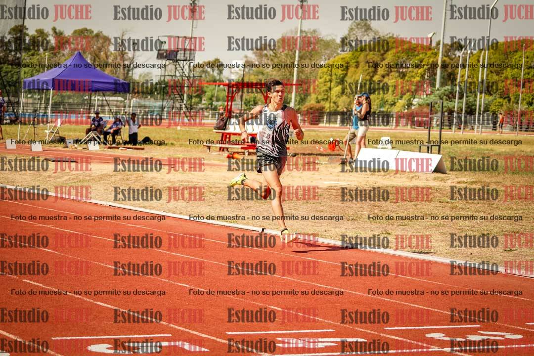 Fotos de los 800 m llanos de varones