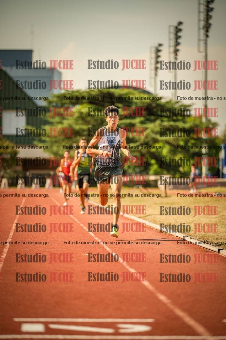 Fotos de los 800 m llanos de varones