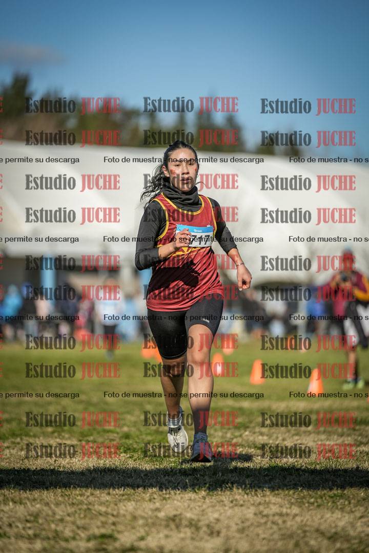 Fotos de las llegadas
