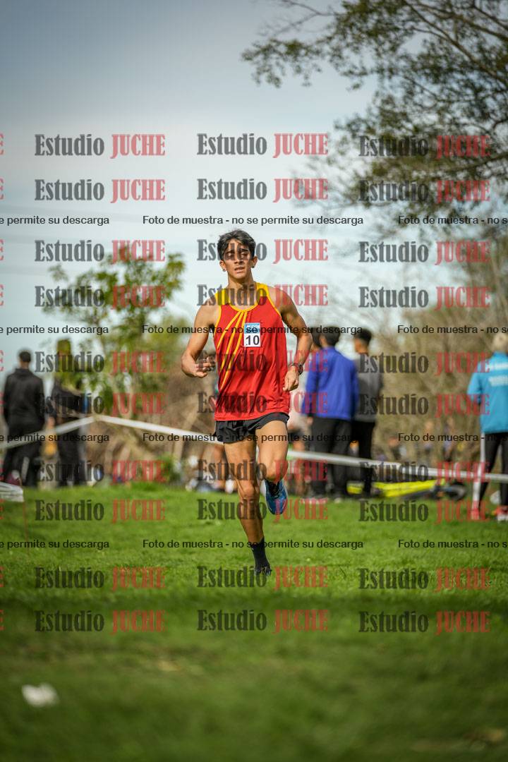 Fotos de la llegada del cross de 8000 m