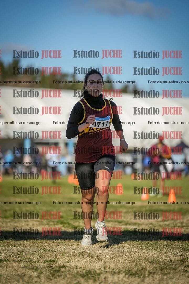 Fotos de las llegadas