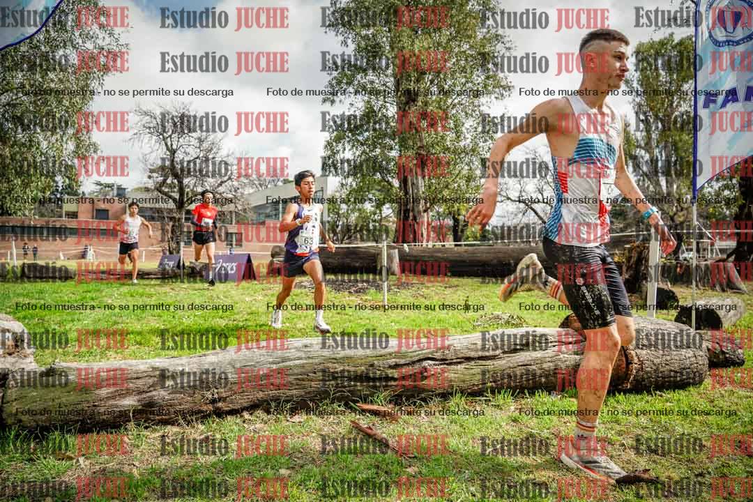 Fotos en el circuito