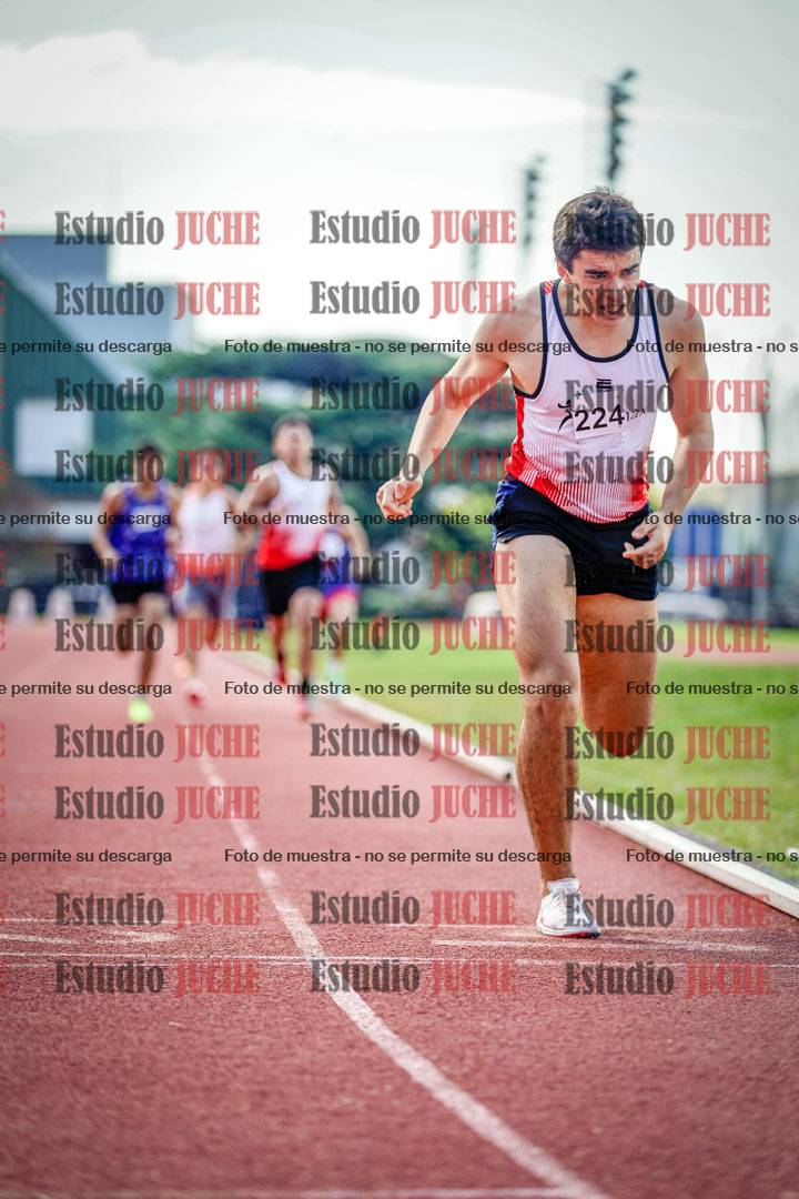 Fotos de los 800 m llanos de varones
