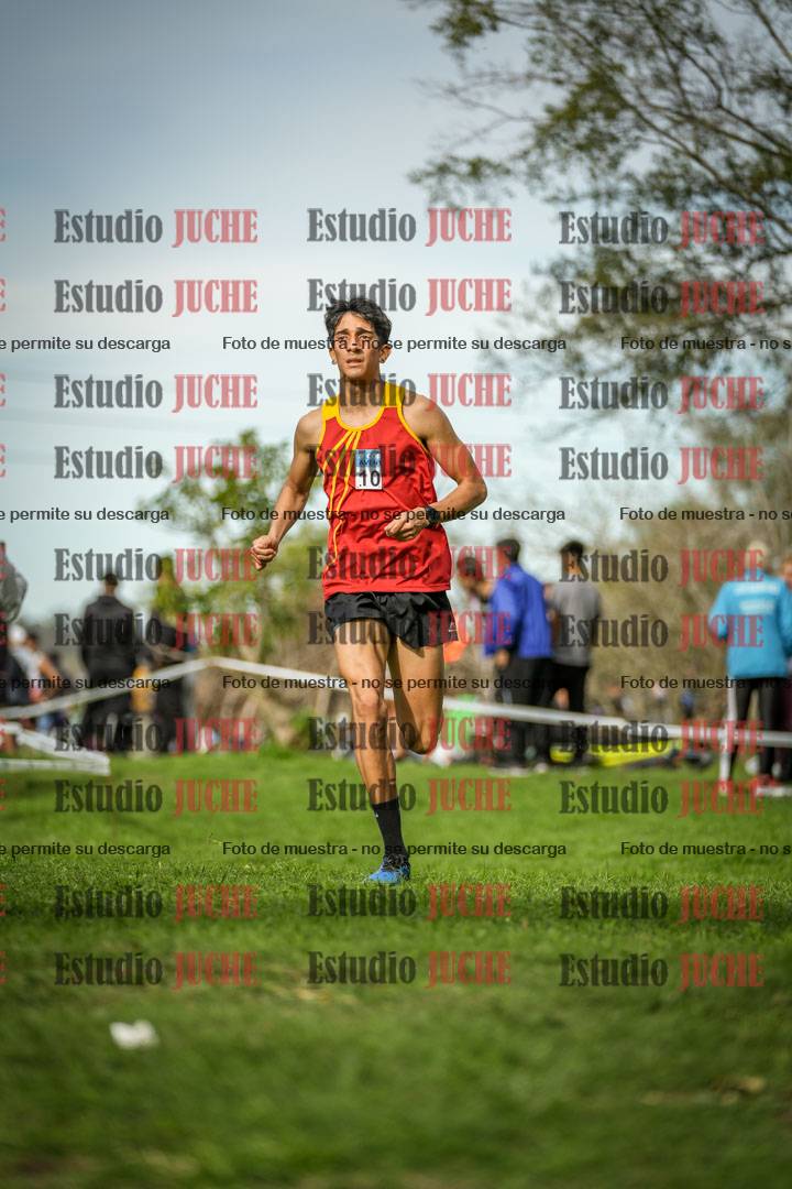 Fotos de la llegada del cross de 8000 m