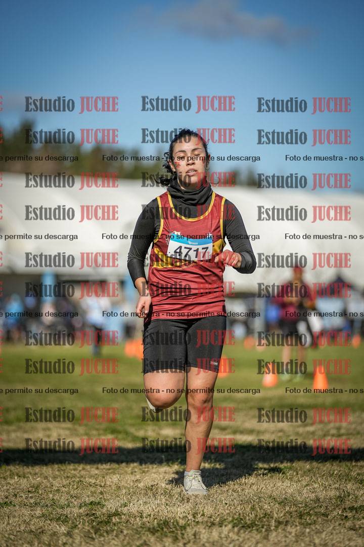 Fotos de las llegadas