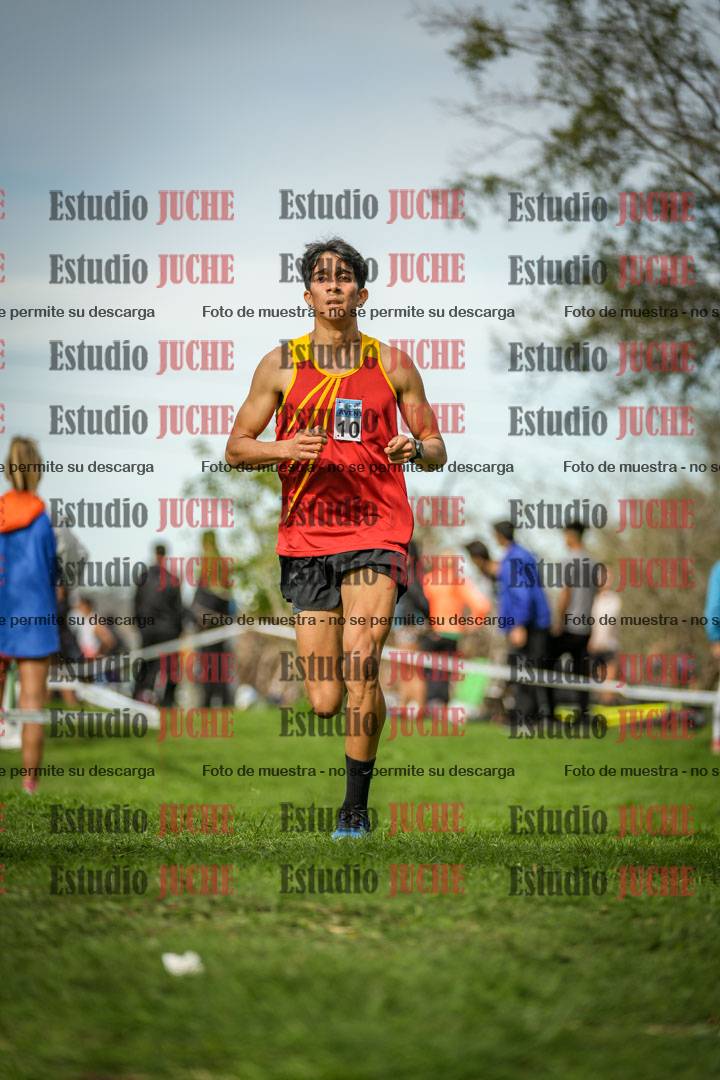 Fotos de la llegada del cross de 8000 m