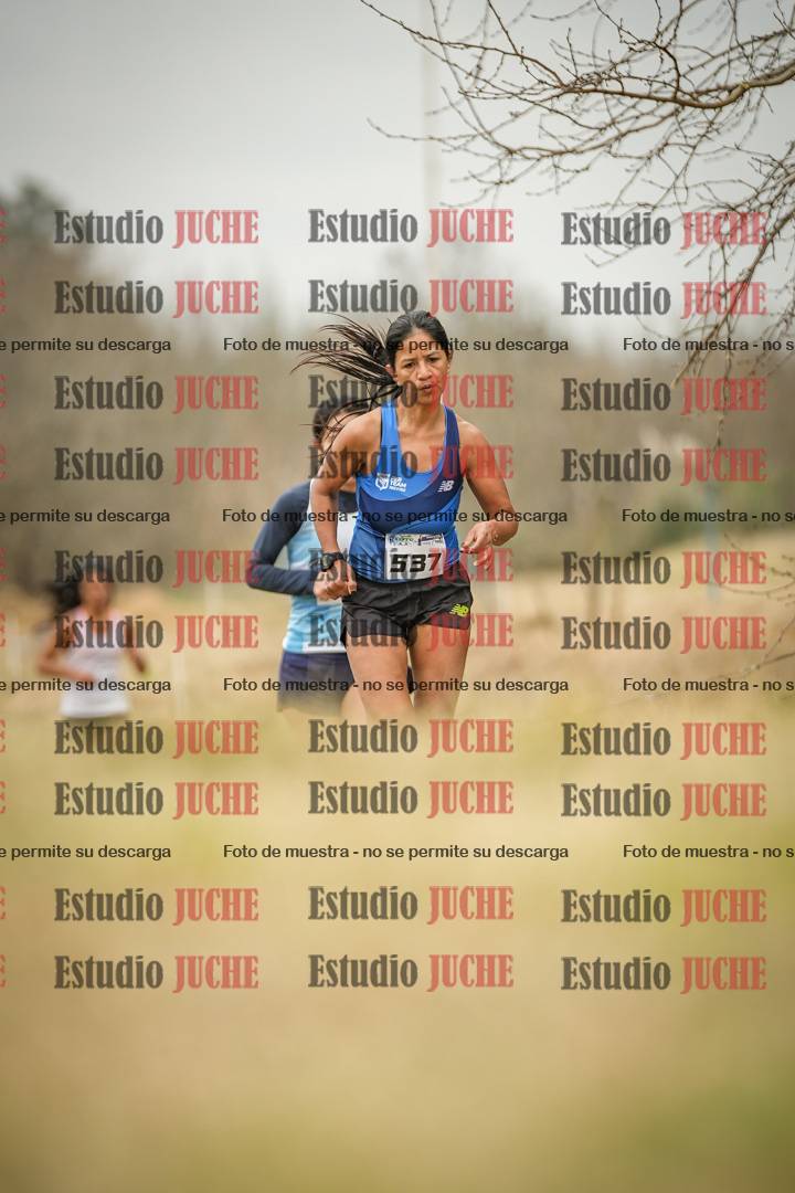 Fotos en el circuito