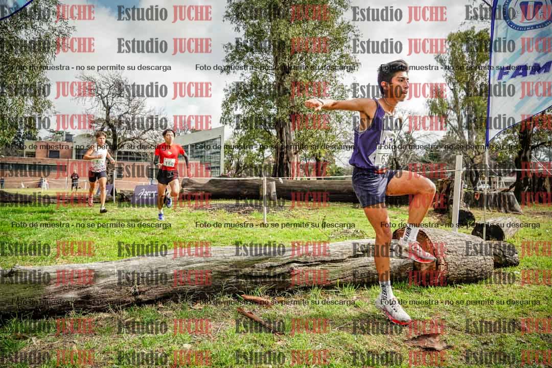 Fotos en el circuito