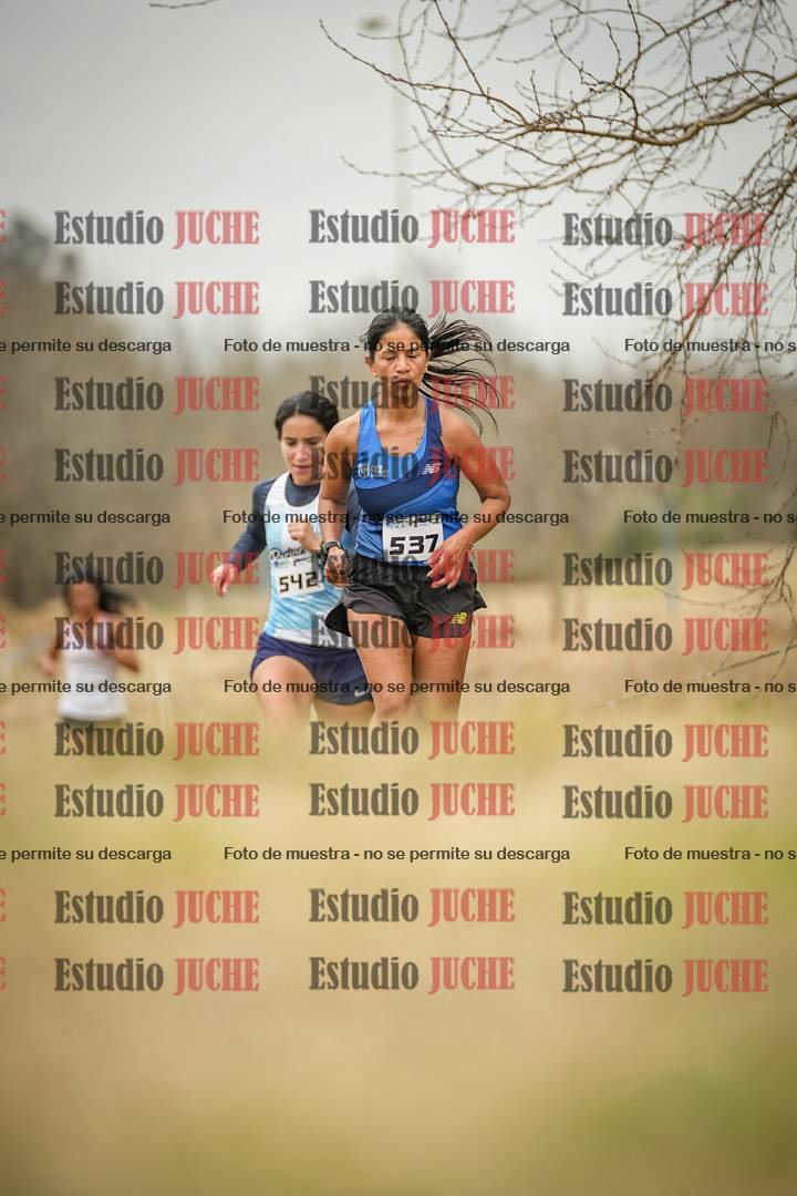 Fotos en el circuito
