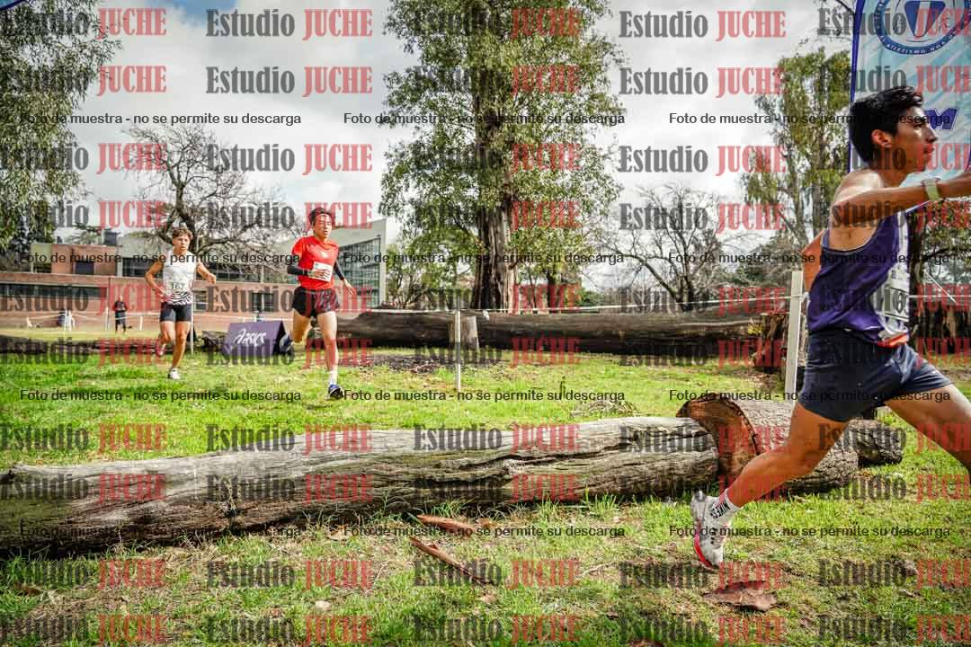 Fotos en el circuito