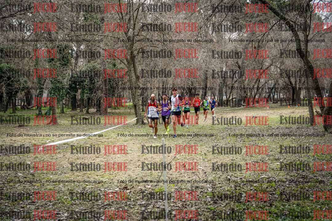 Fotos en el circuito