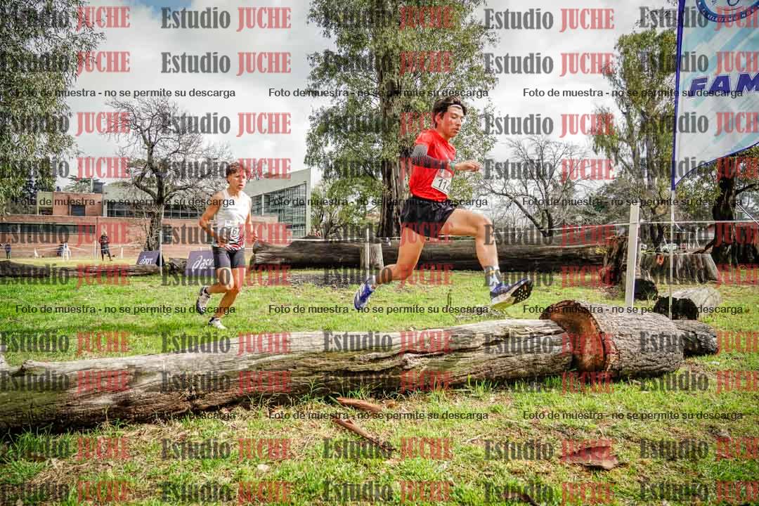 Fotos en el circuito