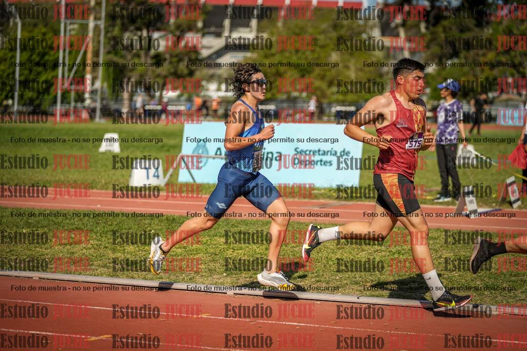 Fotos de los 5000 m llanos de varones
