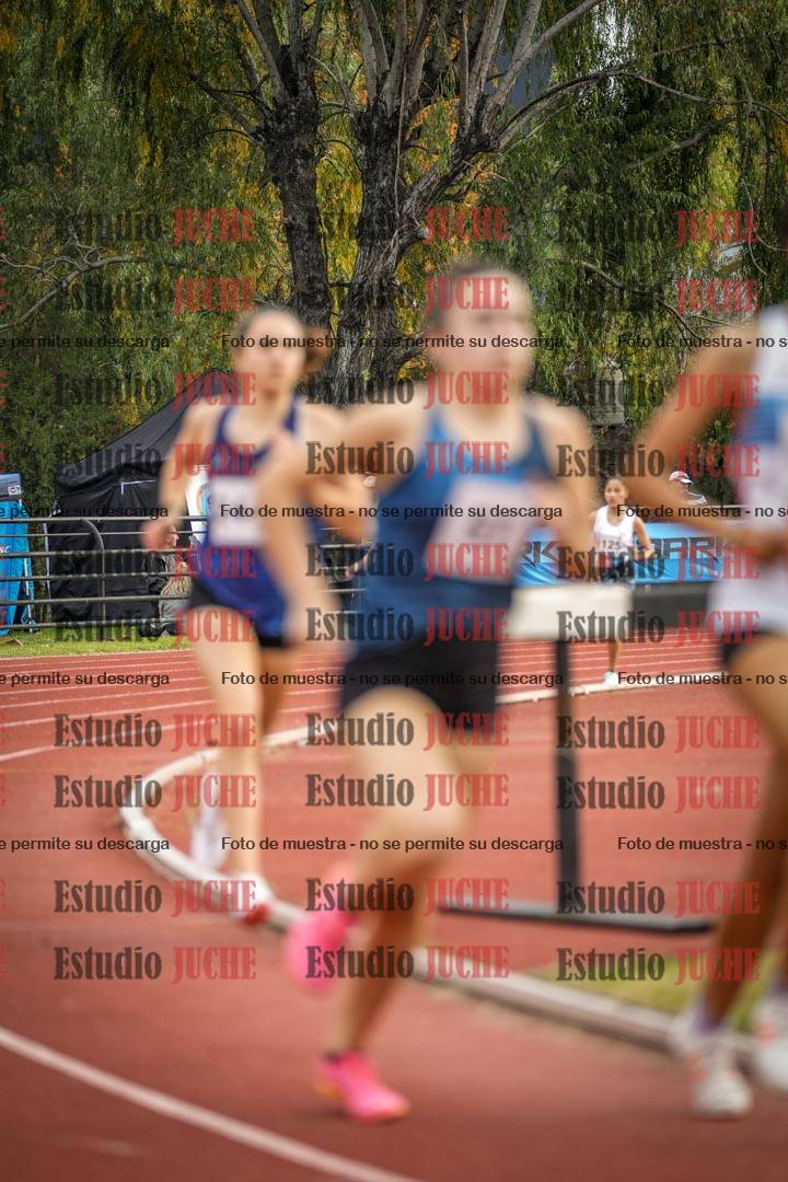 Fotos de los 1500 m llanos de mujeres