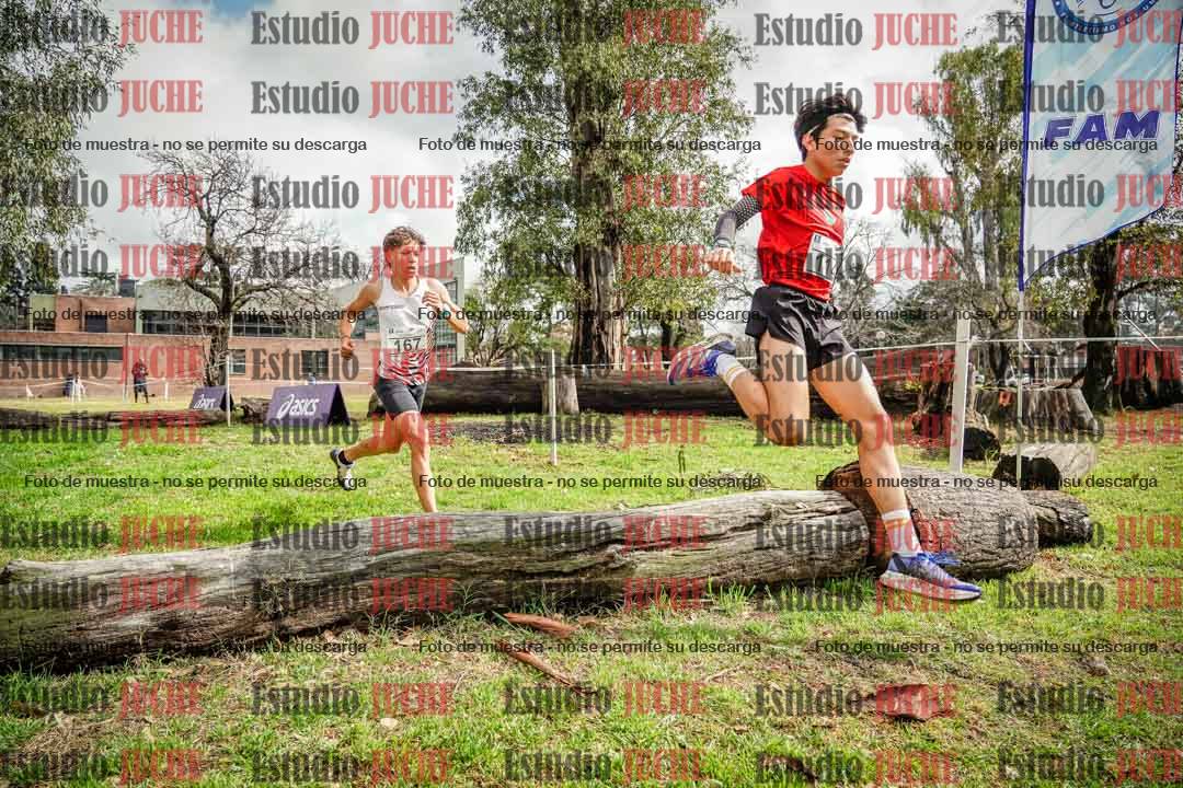 Fotos en el circuito