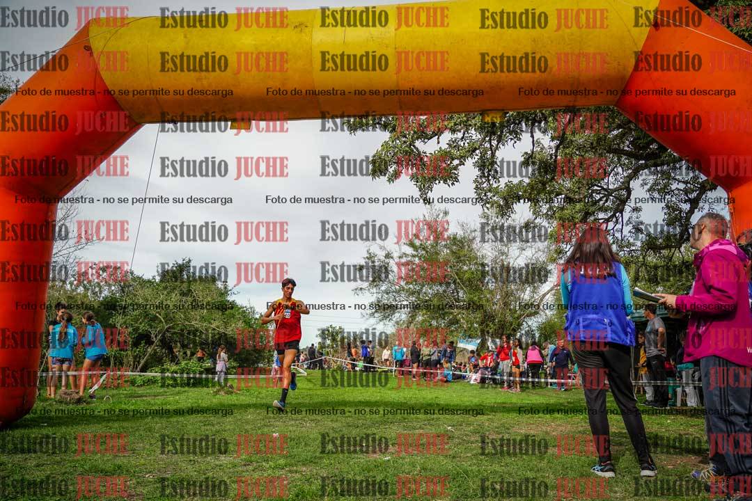 Fotos de la llegada del cross de 8000 m