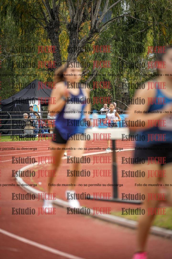 Fotos de los 1500 m llanos de mujeres