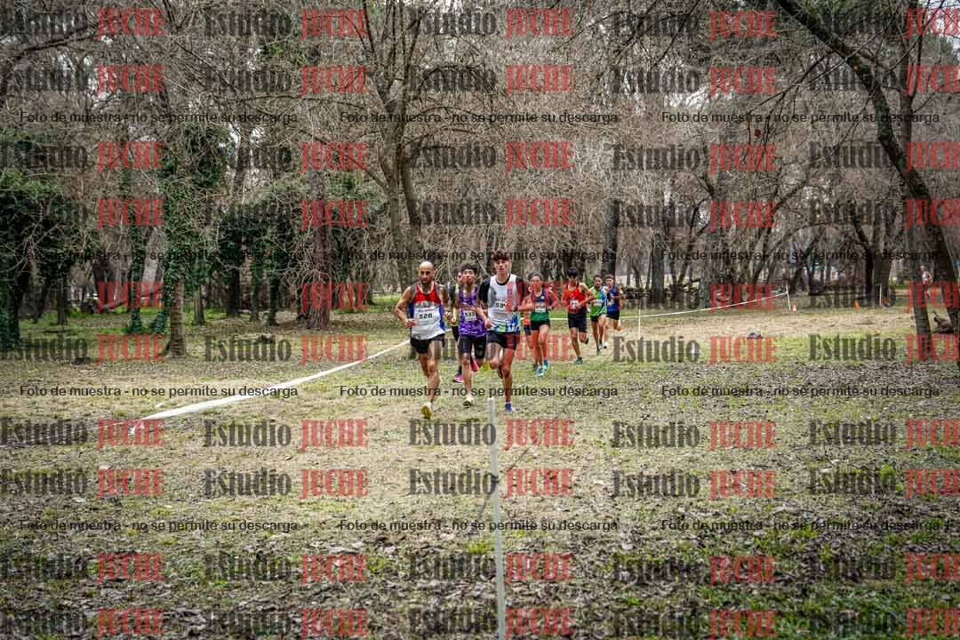 Fotos en el circuito