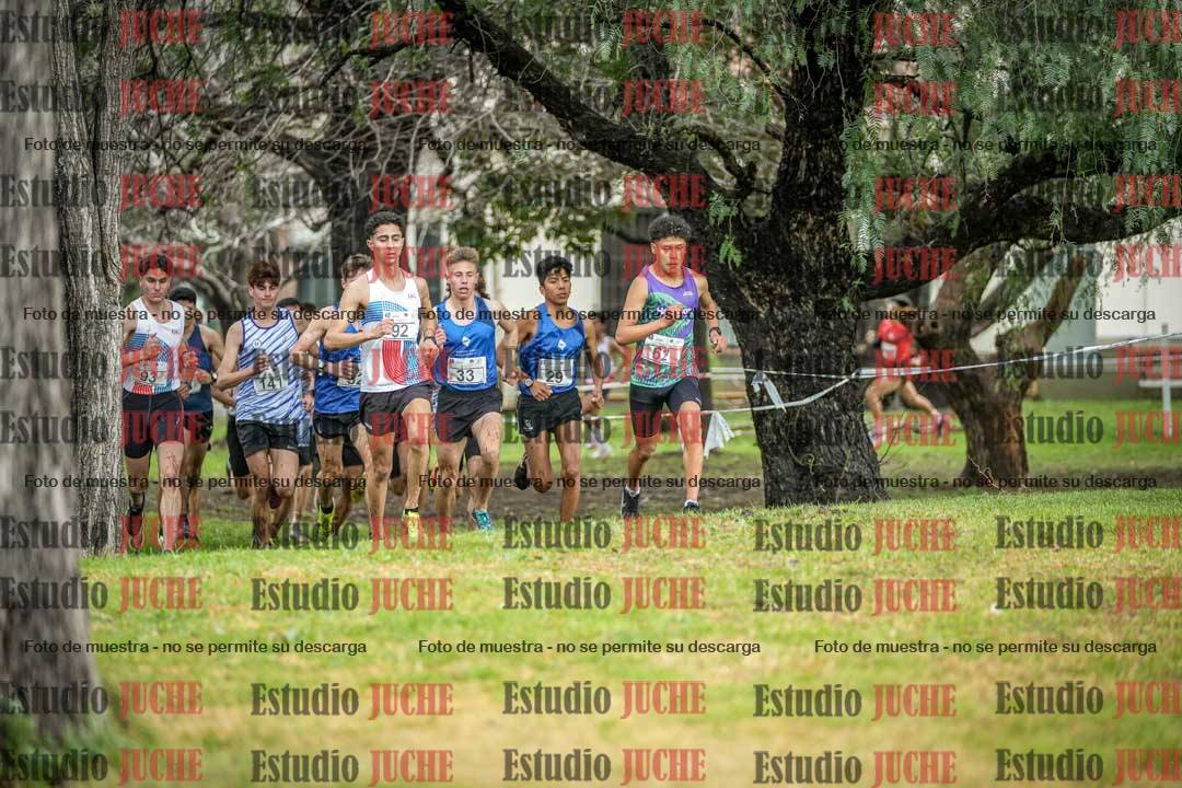 Fotos en el circuito