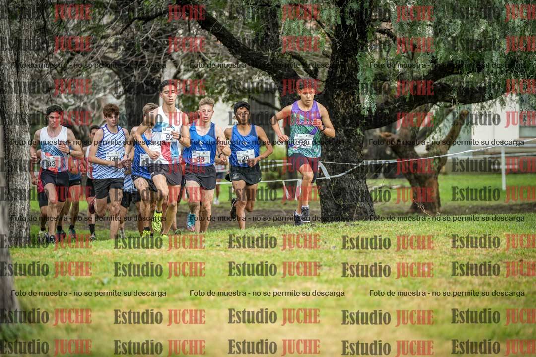Fotos en el circuito