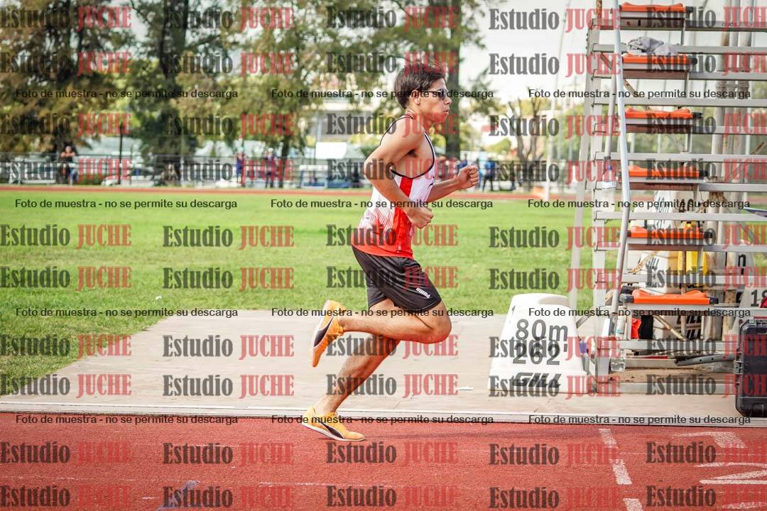Fotos de los 800 m llanos de varones