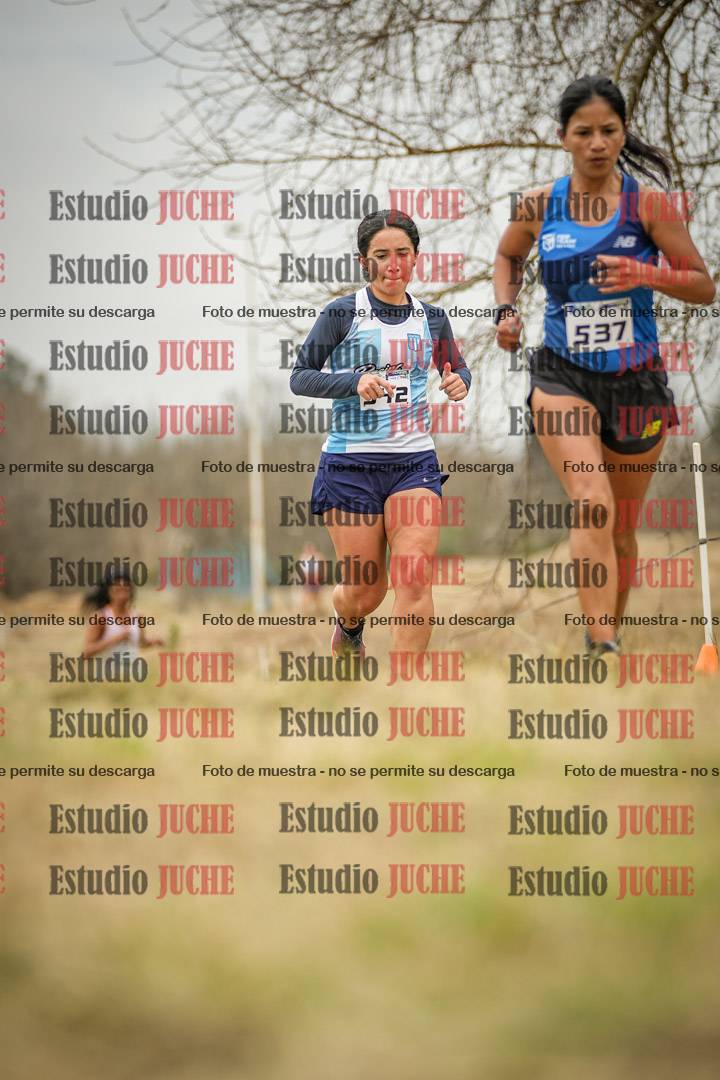 Fotos en el circuito