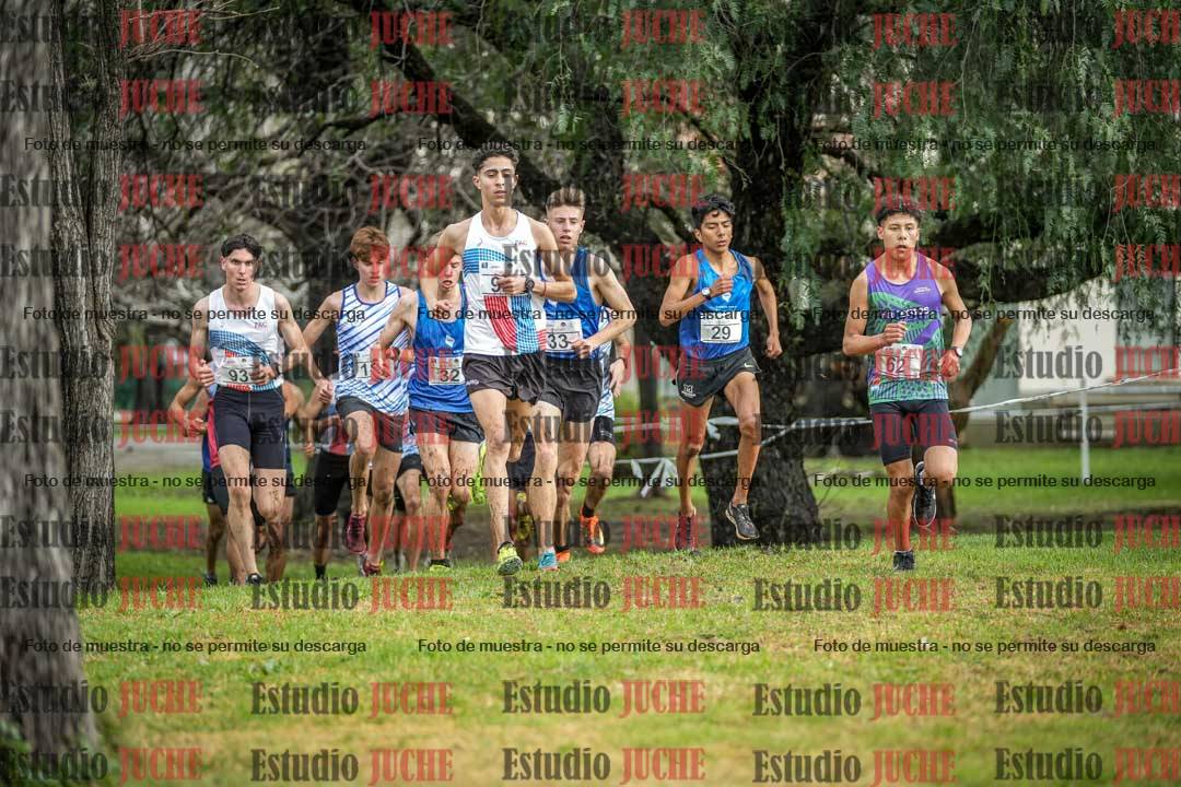 Fotos en el circuito