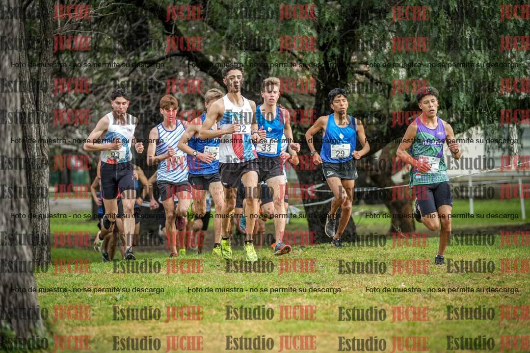 Fotos en el circuito