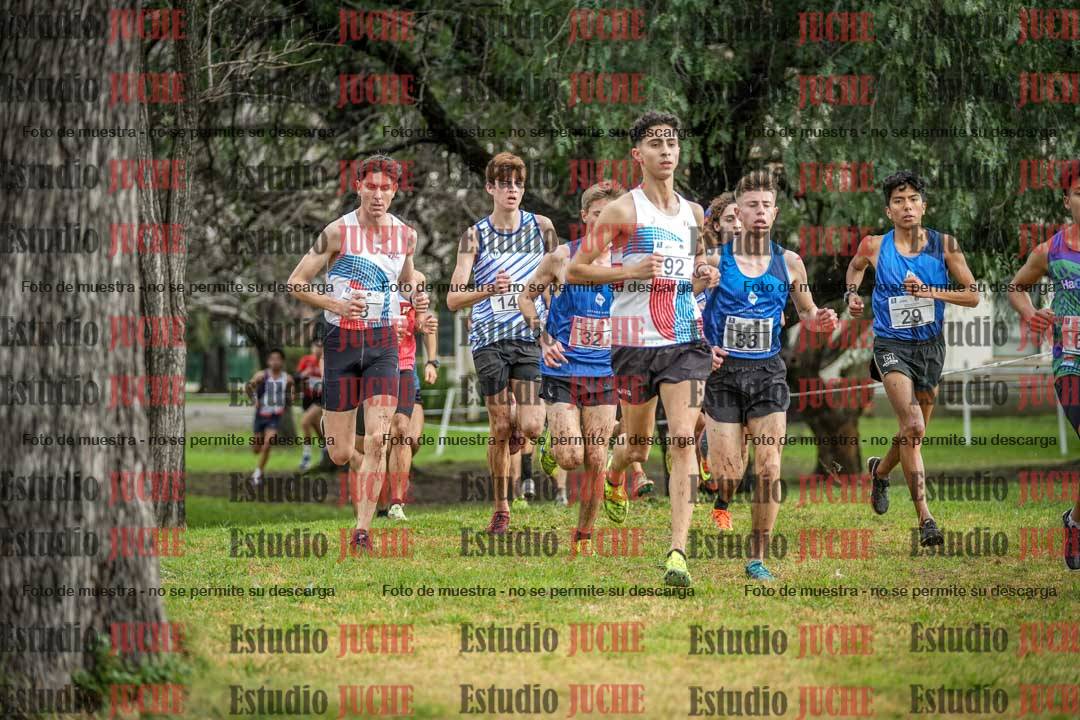 Fotos en el circuito