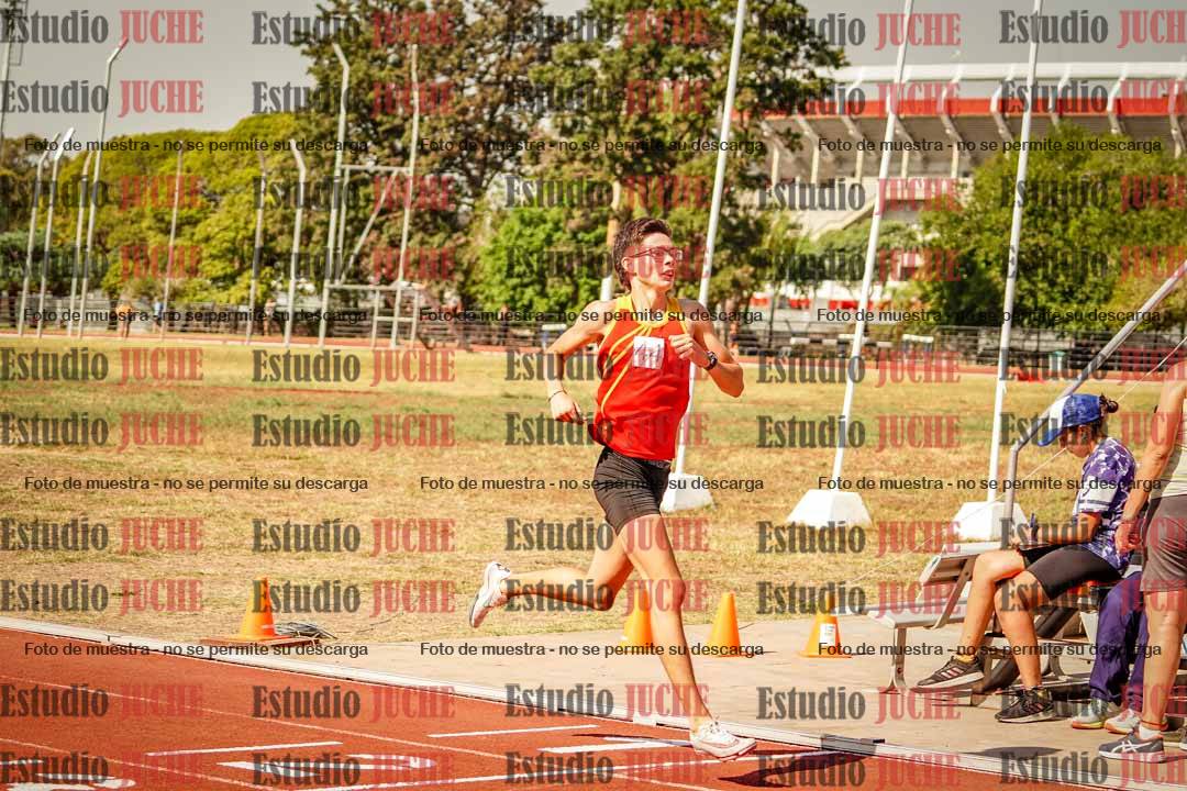 Fotos de los 800 m llanos de varones