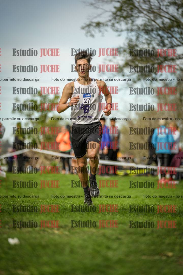 Fotos de la llegada del cross de 8000 m