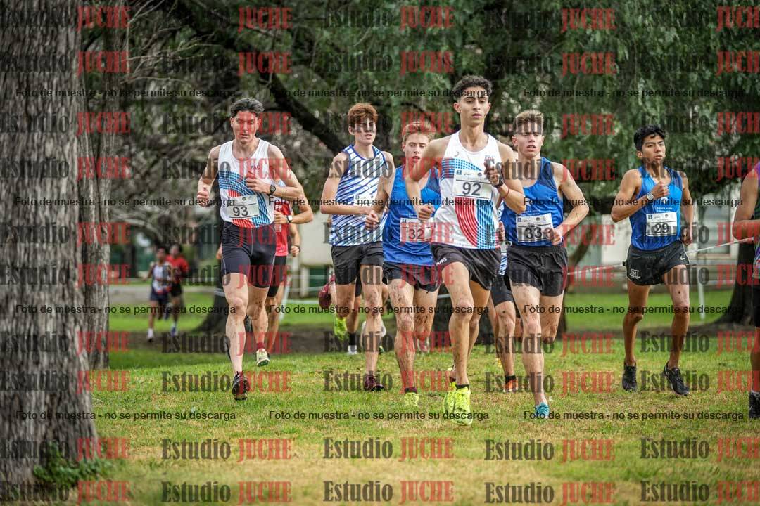 Fotos en el circuito