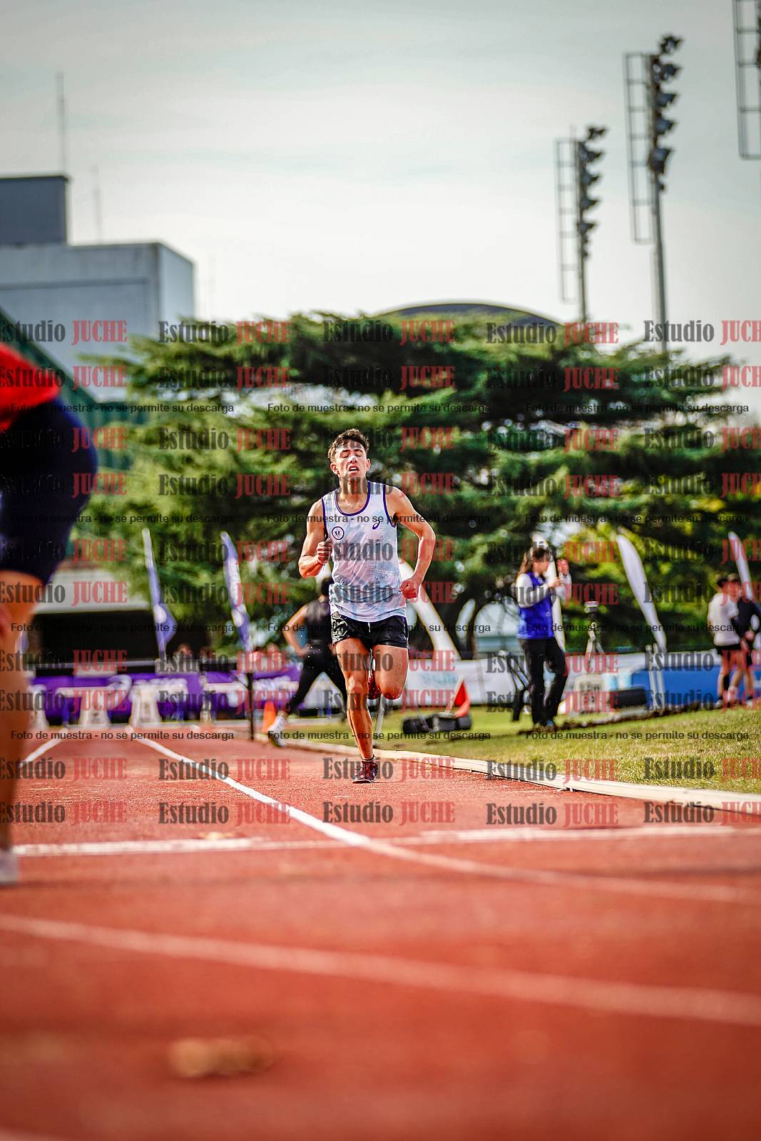 Fotos de los 3000 m con obstáculos de varones