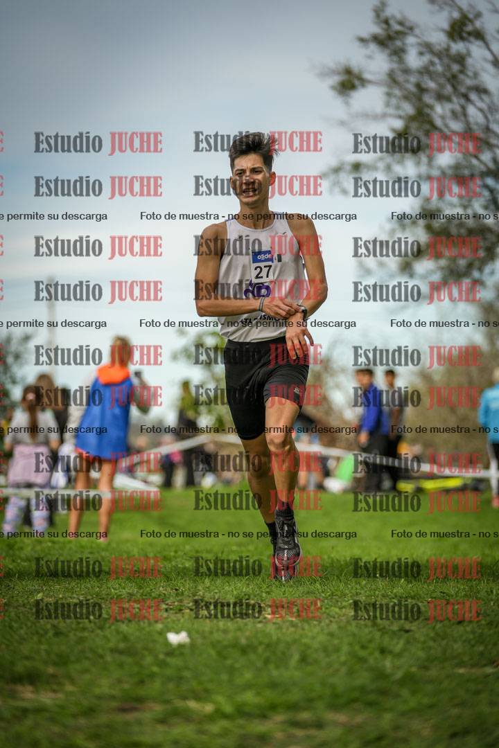 Fotos de la llegada del cross de 8000 m
