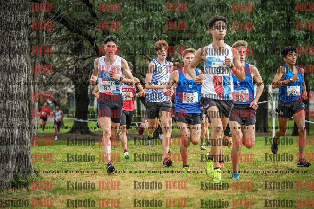 Fotos en el circuito