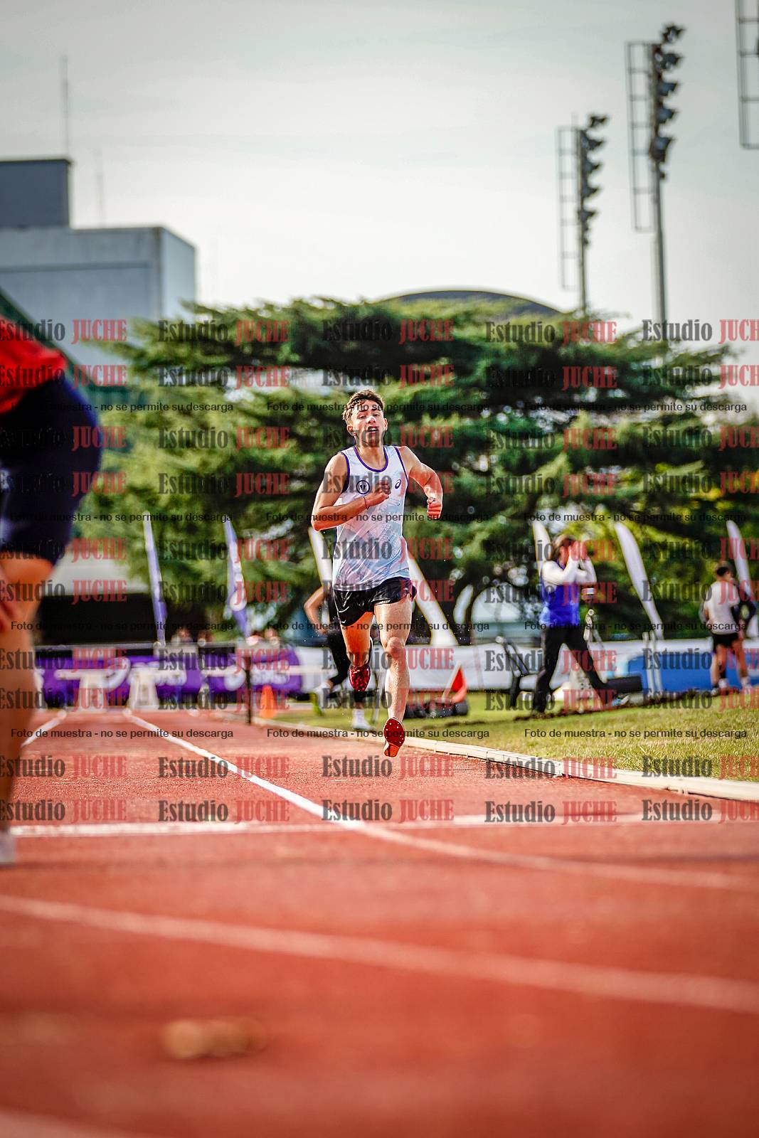 Fotos de los 3000 m con obstáculos de varones