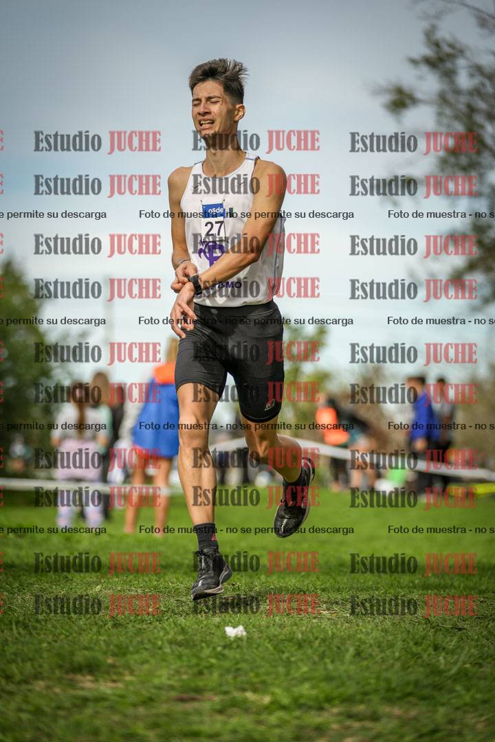 Fotos de la llegada del cross de 8000 m