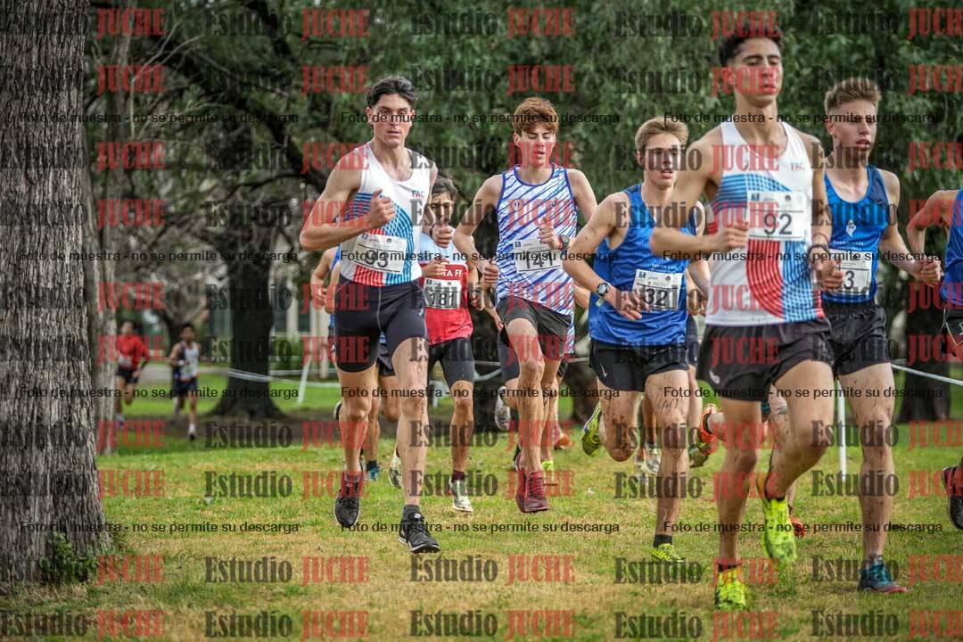Fotos en el circuito
