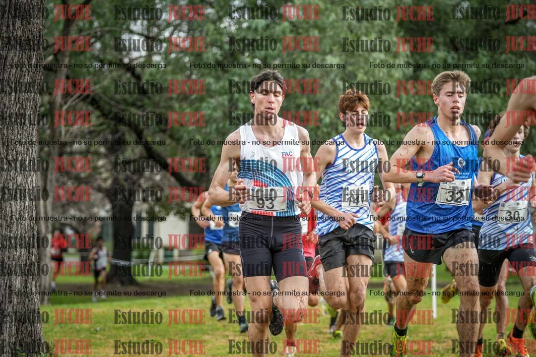 Fotos en el circuito