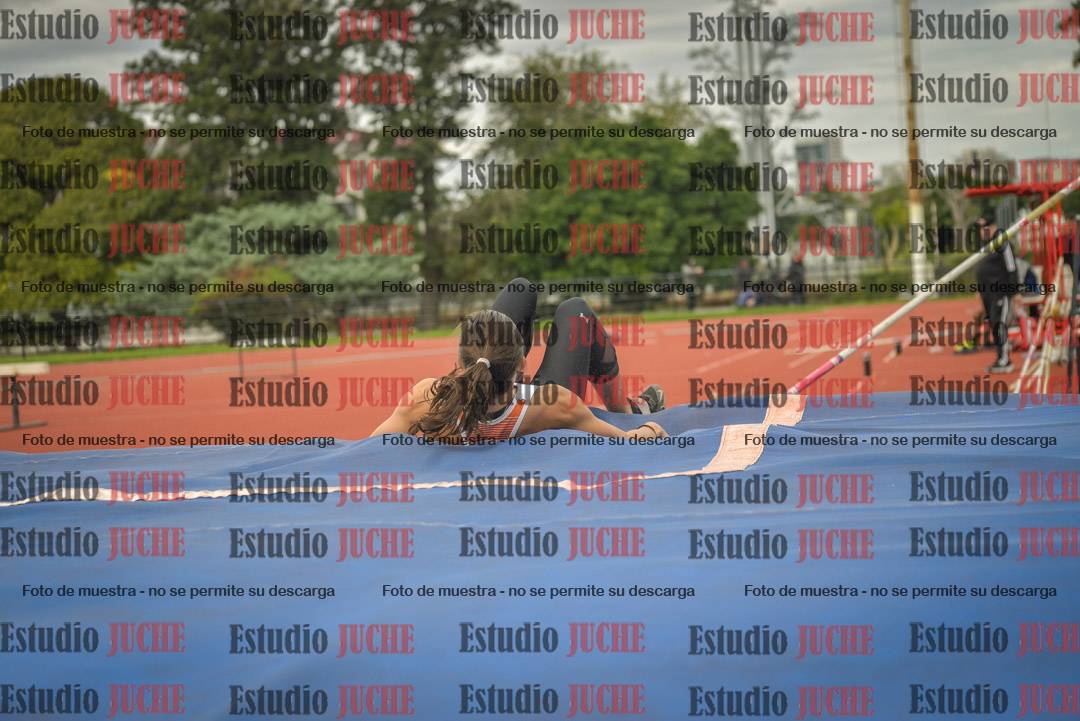 Fotos del salto con garrocha de mujeres y varones