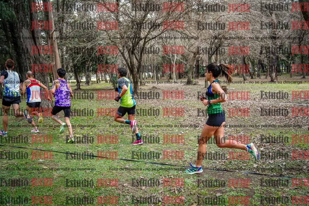 Fotos en el circuito