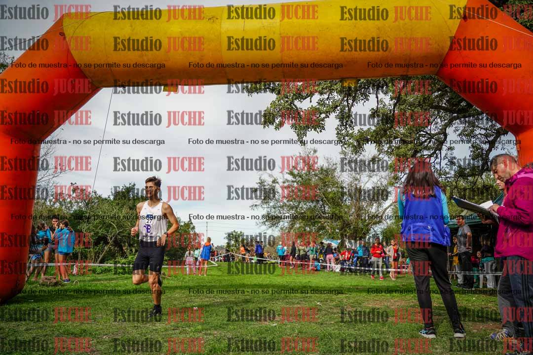 Fotos de la llegada del cross de 8000 m